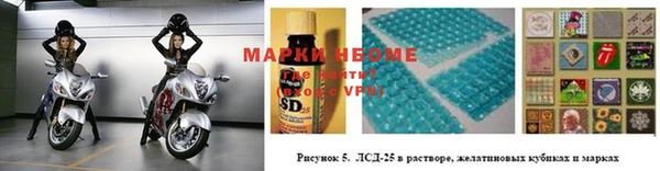 соль ск Снежногорск
