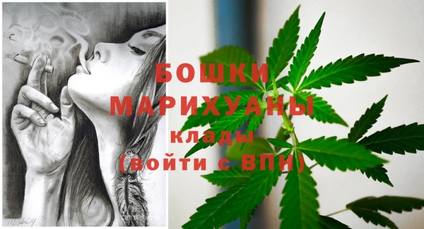 соль ск Снежногорск