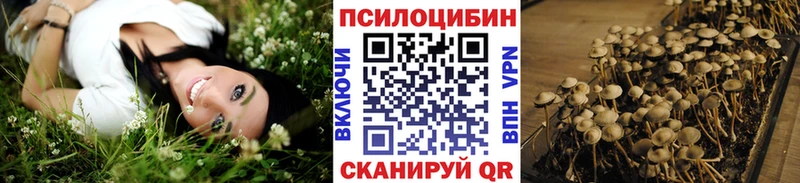 Псилоцибиновые грибы прущие грибы  Луховицы 