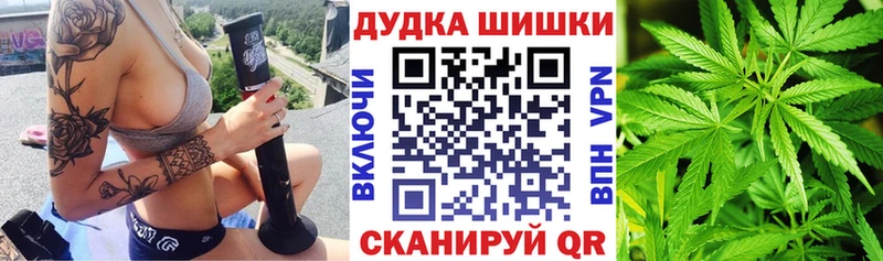 Бошки Шишки семена купить наркотик mega как войти Луховицы